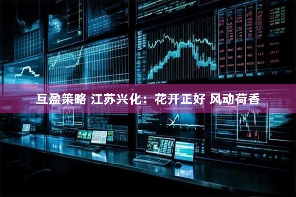 互盈策略 江苏兴化：花开正好 风动荷香