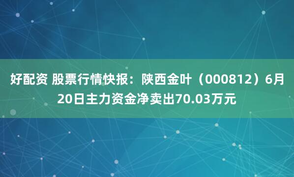 好配资 股票行情快报：陕西金叶（000812）6月20日主力资金净卖出70.03万元
