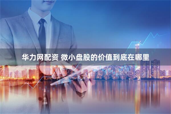 华力网配资 微小盘股的价值到底在哪里